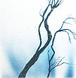 Winter Tree, 60x60 cm