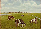Dutch Polder Landscape / Hollands Landschap